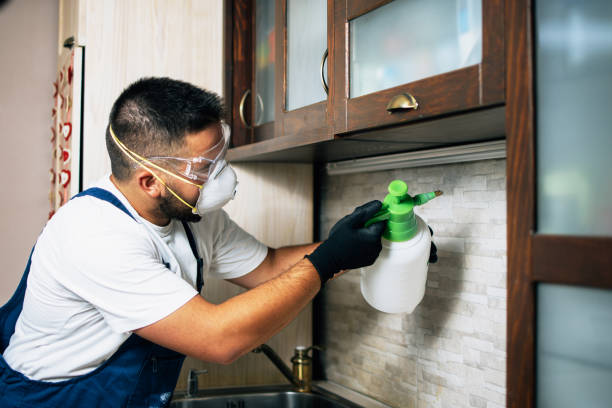 Best Rat Extermination Near Me  in Whippany, NJ