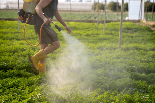 Best Mosquito Control Services  in Whippany, NJ