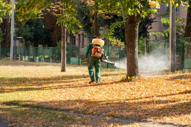 Best Insect Control  in Whippany, NJ
