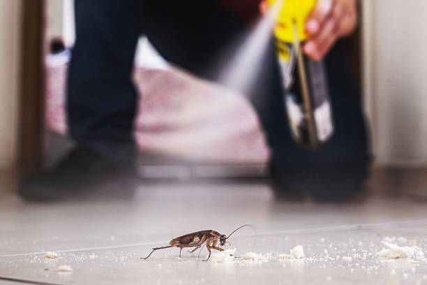 Best Affordable Pest Control Services  in Whippany, NJ