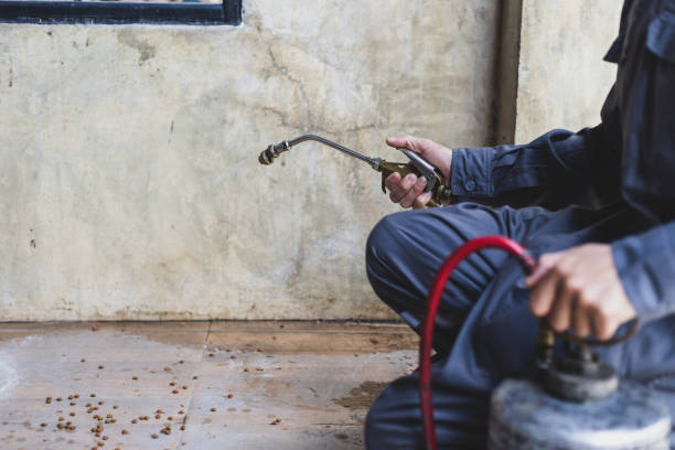 Best Pest Inspection Near Me  in Whippany, NJ